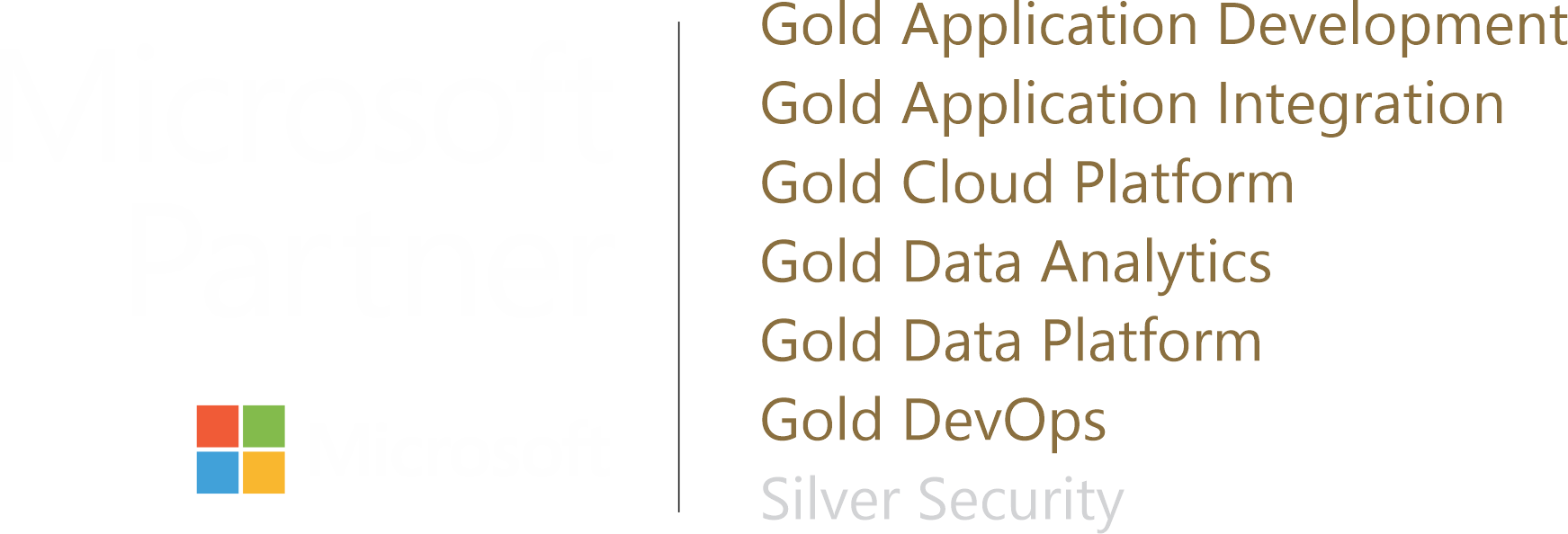 Logo Microsoft Partner